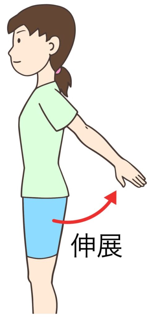 肩関節の伸展